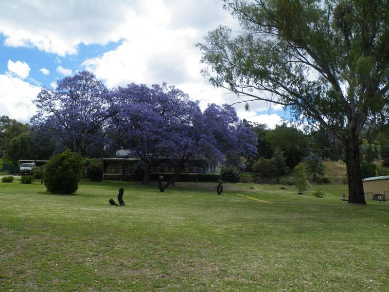 21 Breeza Street, Quirindi NSW 2343
