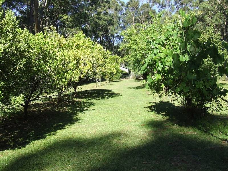 38 Mimosa Park Road, Milton NSW 2538