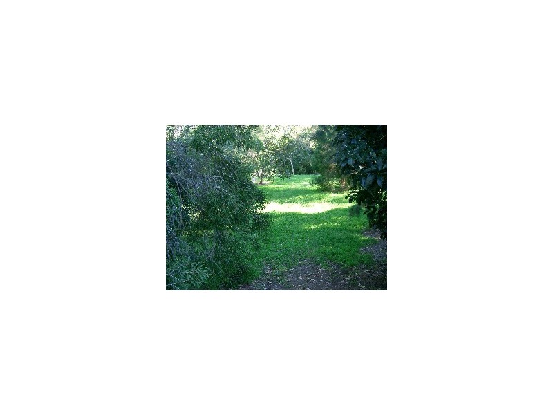 10 Valley View Close, Milton NSW 2538