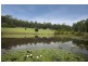 F1385 Princes Highway, Termeil NSW 2539
