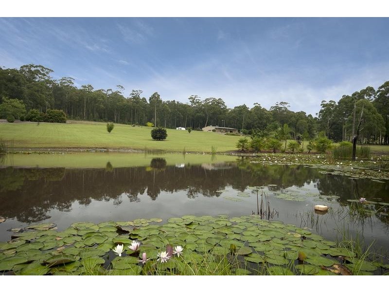 F1385 Princes Highway, Termeil NSW 2539