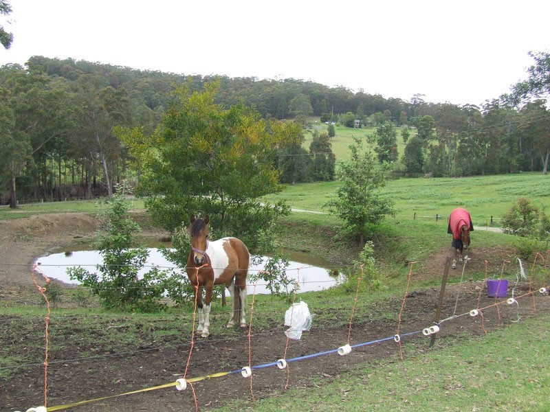 F1385 Princes Highway, Termeil NSW 2539