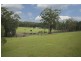 F1385 Princes Highway, Termeil NSW 2539