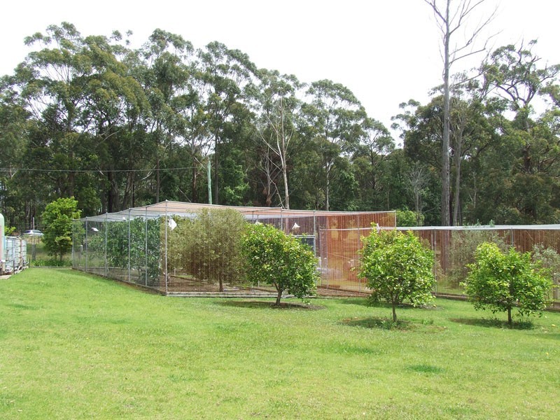 187 Slaughterhouse Road, Ulladulla NSW 2539