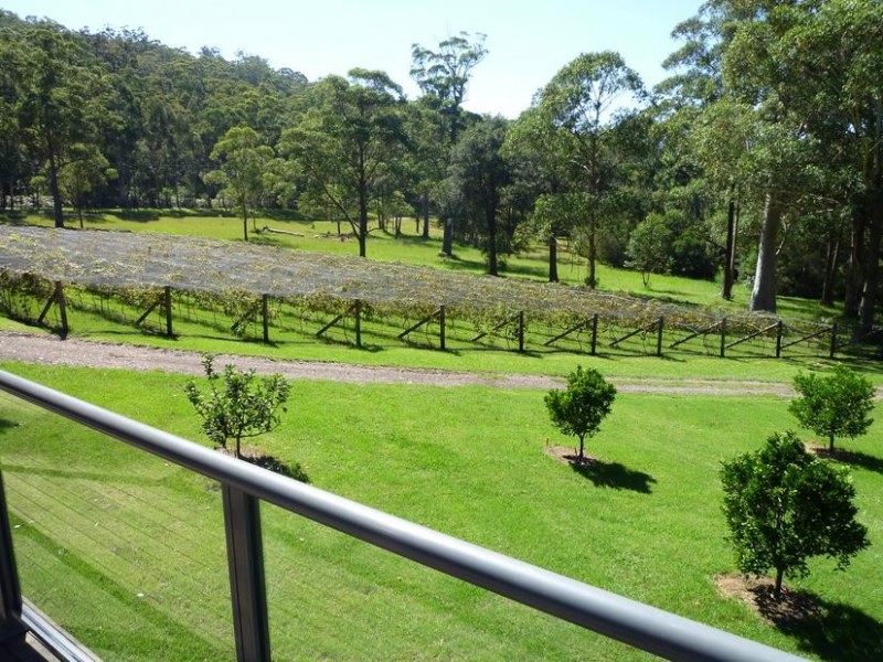 226 Bawley Point Road, Bawley Point NSW 2539