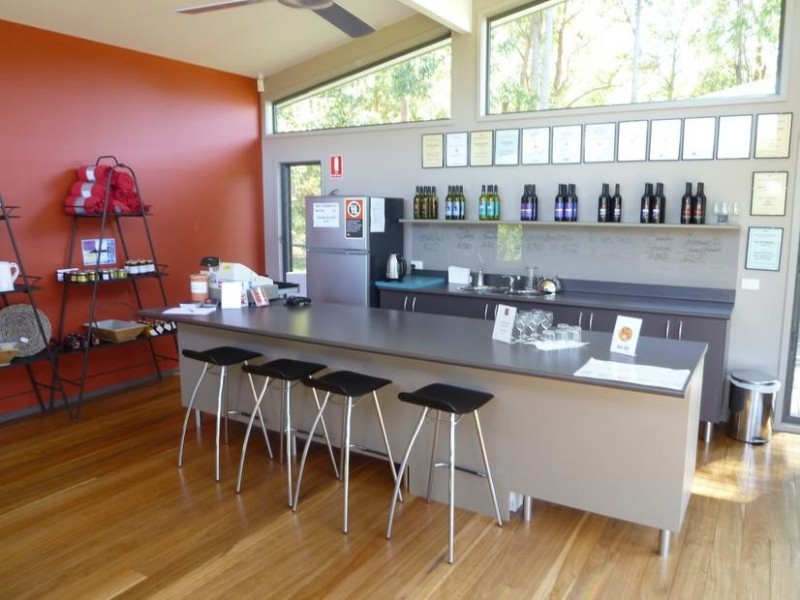 226 Bawley Point Road, Bawley Point NSW 2539