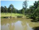 226 Bawley Point Road, Bawley Point NSW 2539