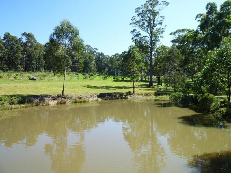 226 Bawley Point Road, Bawley Point NSW 2539