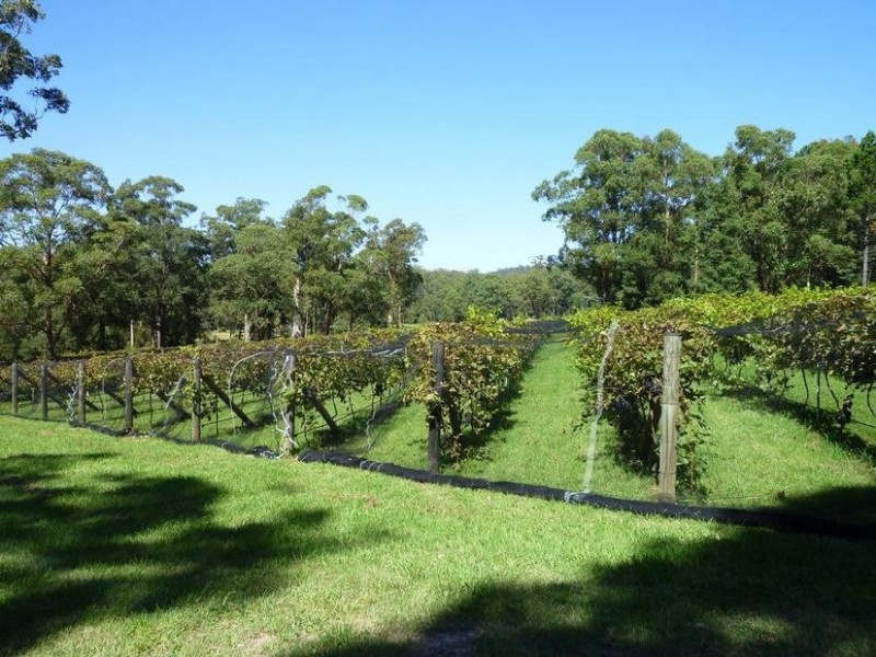 226 Bawley Point Road, Bawley Point NSW 2539