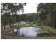 F1467 Princes Highway, Termeil NSW 2539