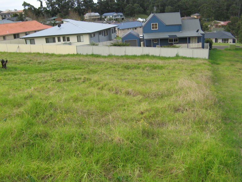 19 Springfield Drive, Mollymook NSW 2539