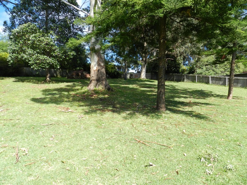 20a Buckland Street, Mollymook NSW 2539