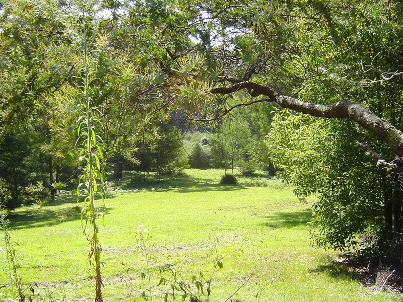 2 Mimosa Park Road, Milton NSW 2538