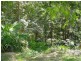 2 Mimosa Park Road, Milton NSW 2538