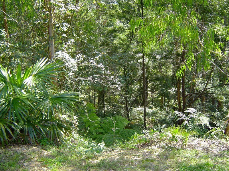 2 Mimosa Park Road, Milton NSW 2538