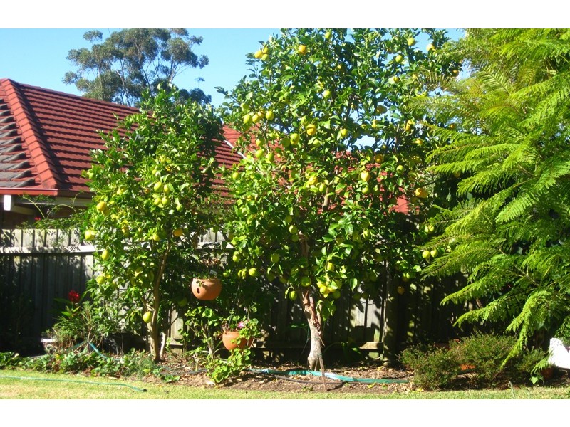 6 Callemondah Close, Narrawallee NSW 2539