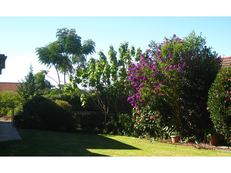 6 Callemondah Close, Narrawallee NSW 2539
