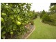 6 Callemondah Close, Narrawallee NSW 2539