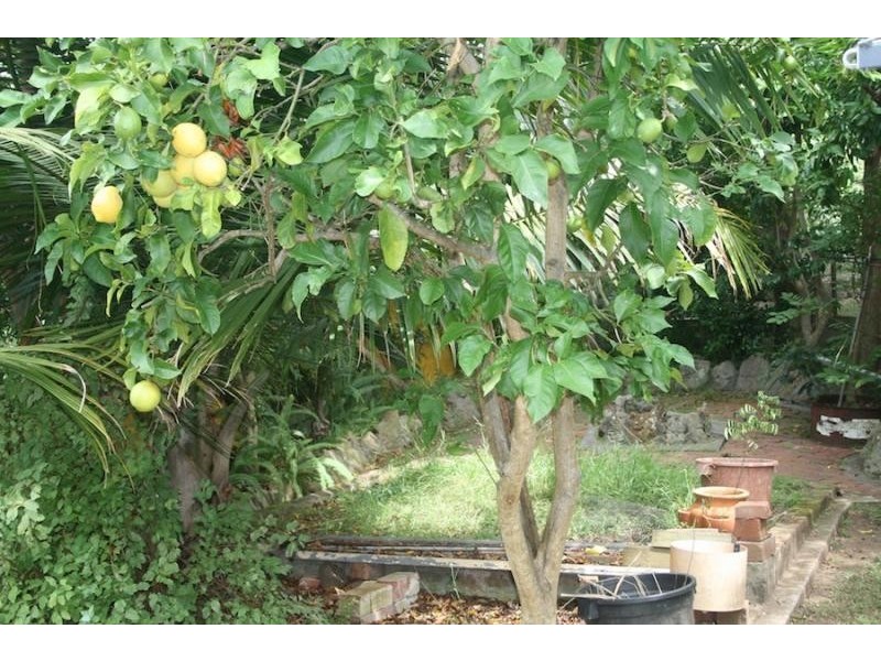 61 Tallwood Avenue, Mollymook NSW 2539