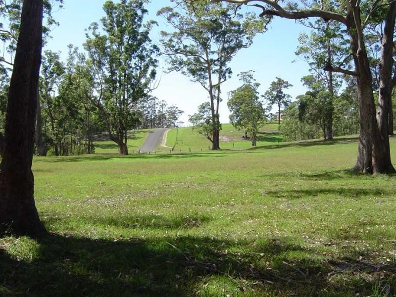Lot 106 Spring Valley Way, Milton NSW 2538
