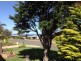 Ulladulla NSW 2539