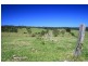 273 Wilfords Lane, Milton NSW 2538