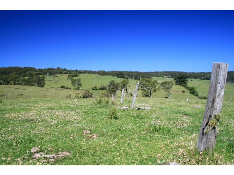 273 Wilfords Lane, Milton NSW 2538