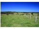 273 Wilfords Lane, Milton NSW 2538