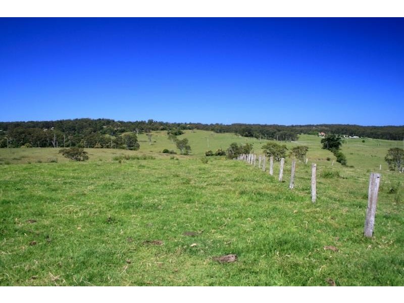 273 Wilfords Lane, Milton NSW 2538