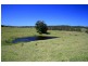 273 Wilfords Lane, Milton NSW 2538