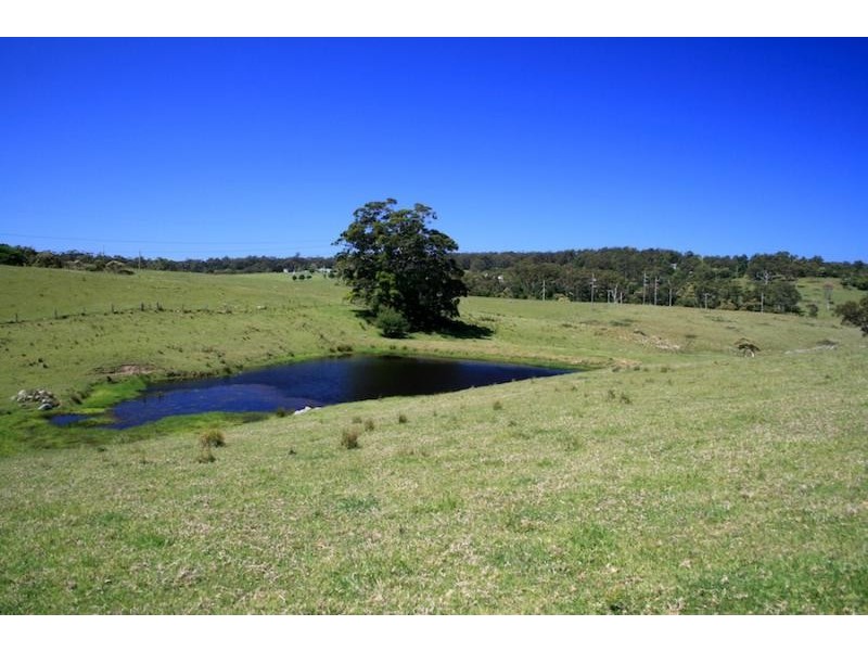 273 Wilfords Lane, Milton NSW 2538