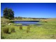 273 Wilfords Lane, Milton NSW 2538