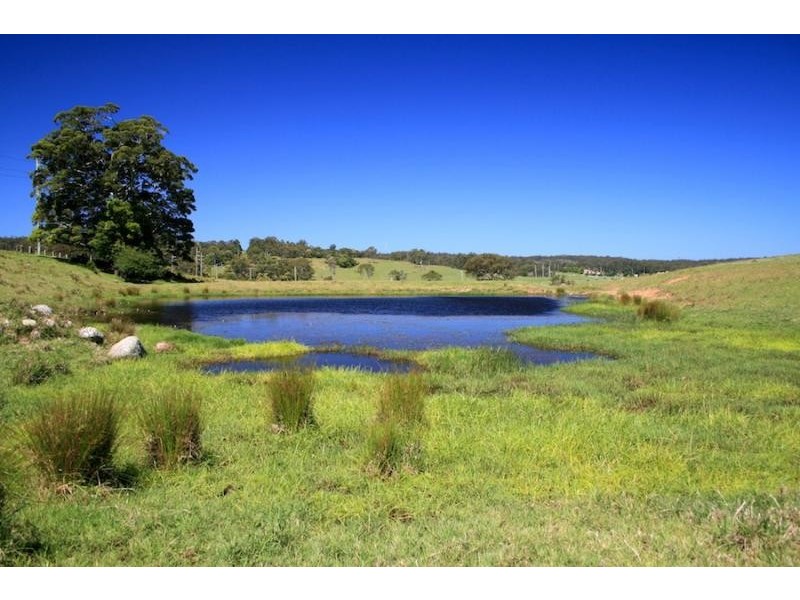 273 Wilfords Lane, Milton NSW 2538