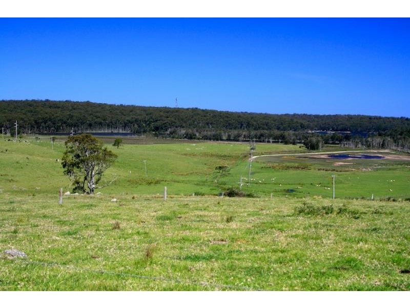 273 Wilfords Lane, Milton NSW 2538