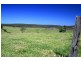 273 Wilfords Lane, Milton NSW 2538