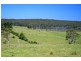 273 Wilfords Lane, Milton NSW 2538