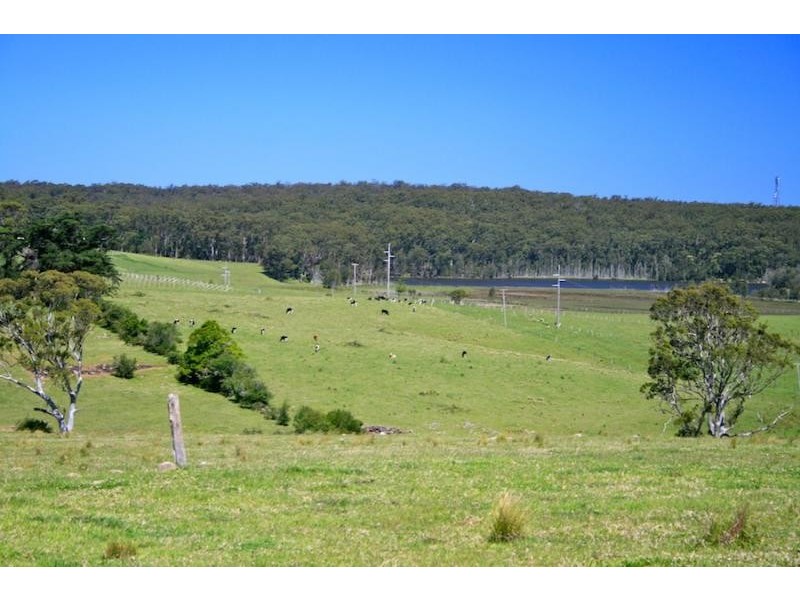 273 Wilfords Lane, Milton NSW 2538