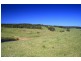 273 Wilfords Lane, Milton NSW 2538