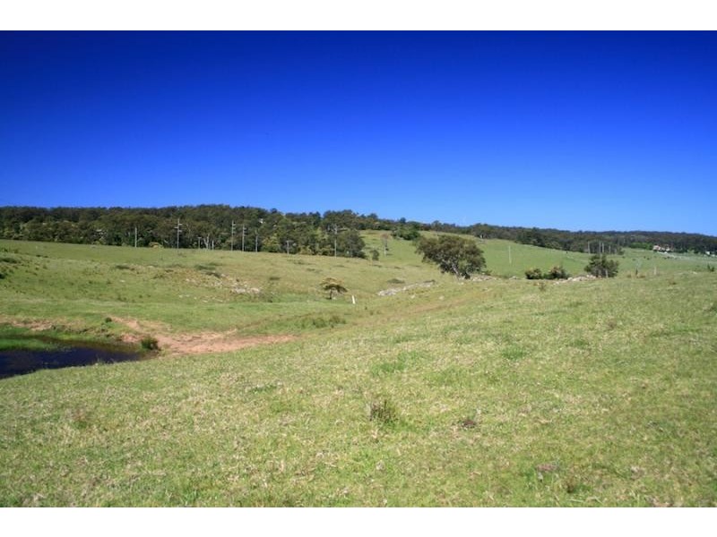 273 Wilfords Lane, Milton NSW 2538