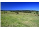 273 Wilfords Lane, Milton NSW 2538
