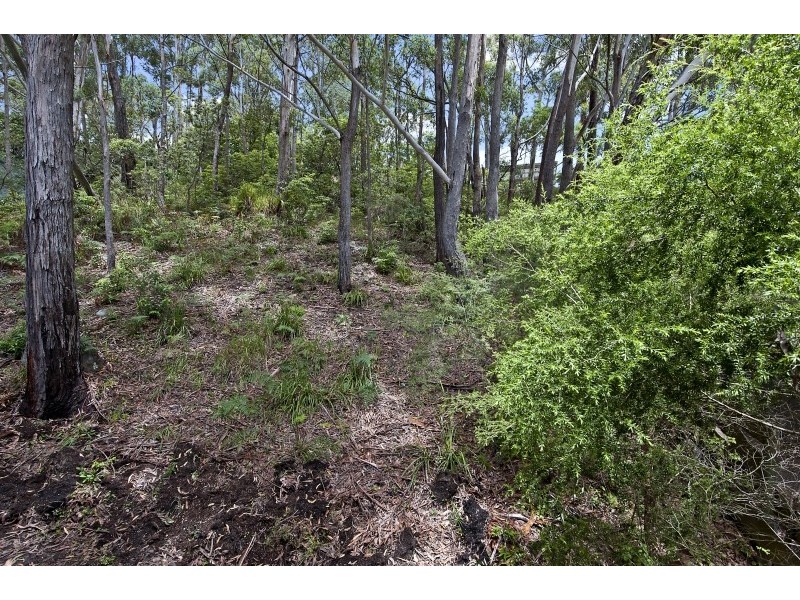 17 Surfers Ave, Narrawallee NSW 2539