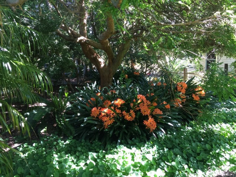 30A Gordon Street, Milton NSW 2538