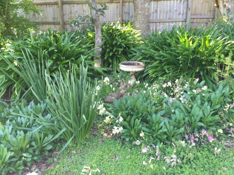 30A Gordon Street, Milton NSW 2538