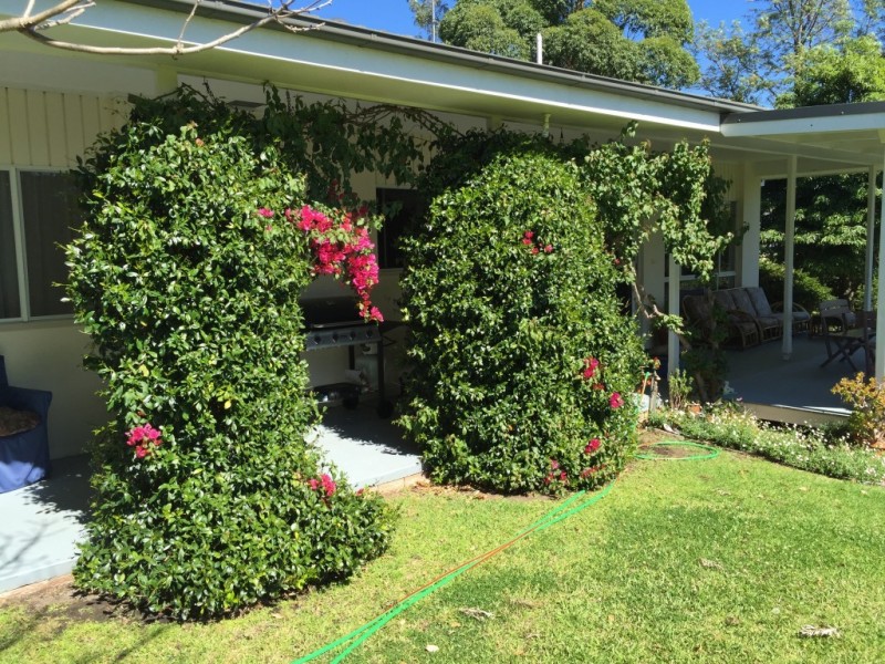 30A Gordon Street, Milton NSW 2538