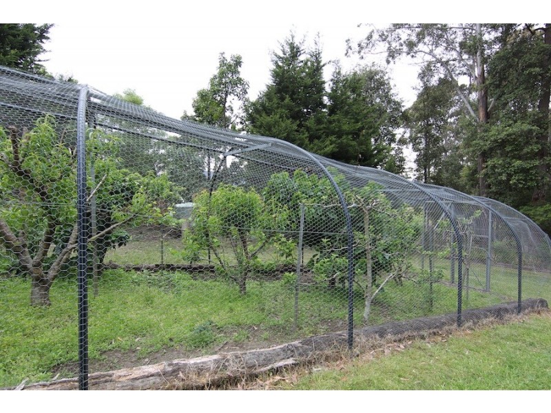 35 Old Princes Highway, Termeil NSW 2539