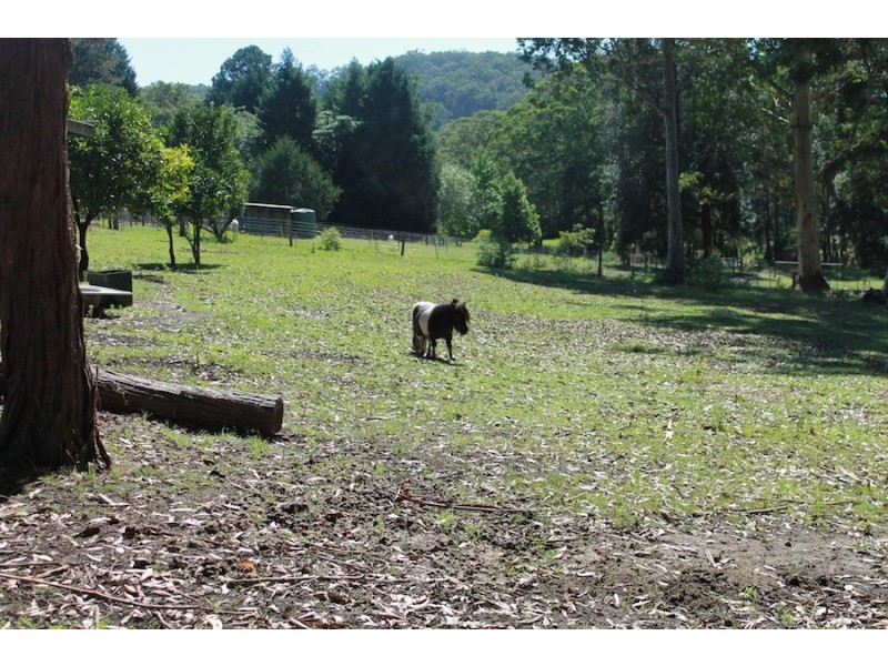 35 Old Princes Highway, Termeil NSW 2539