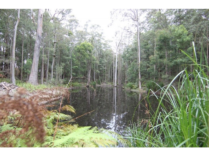 35 Old Princes Highway, Termeil NSW 2539