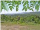 Lot 2 Mimosa Park Road, Milton NSW 2538