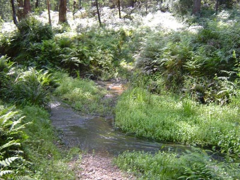 Lot 2 Mimosa Park Road, Milton NSW 2538