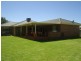 56 York Street, Dubbo NSW 2830